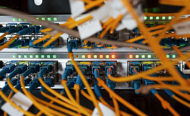 molex products